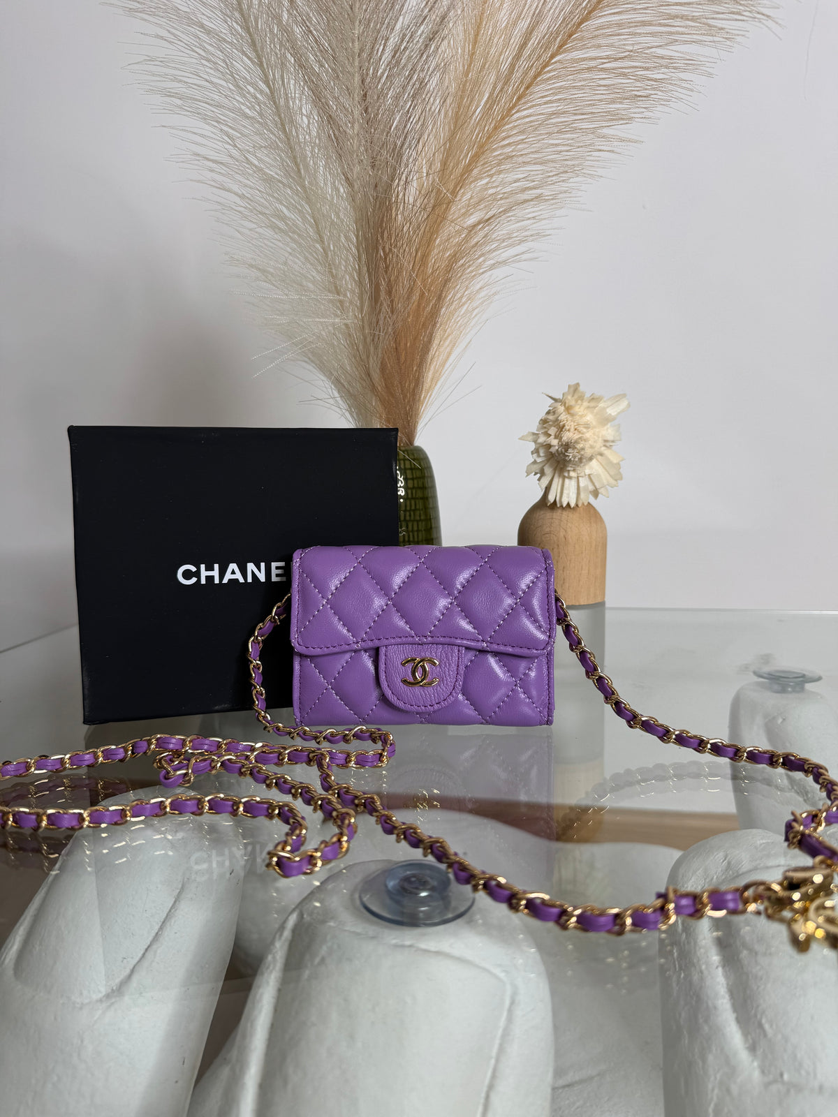 Mini Chany Violet